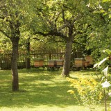 Bild anzeigen: Kampbiene , Bienenstöcke stehen im Tiergarten