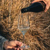 Bild anzeigen: Weingut Riedl, Wein wird von Hand in ein Glas gegossen