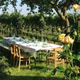 Bild anzeigen: Bioweinbau Peter Paradeiser, Verkostungstisch im Weingarten