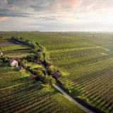 Bild anzeigen: Bioweinbau Peter Paradeiser, Luftaufnahme Fels am Wagram