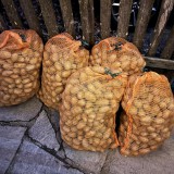 Bild anzeigen: BioBauernhof Böhm, Kartoffelsäcke für Gastro