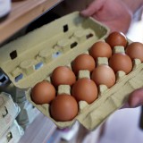 Bild anzeigen: Pepi Omas Speis, Eierkarton geöffnet