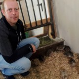 Bild anzeigen: Berginghof, Herr Plank mit Wachteln im Stall