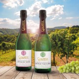 Bild anzeigen: 2 Flaschen Sekt