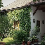 Bild anzeigen: Lokal von Außen