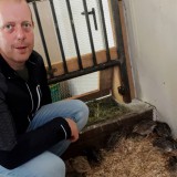 Bild anzeigen: Herbert Plank mit Wachteln