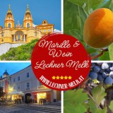 Bild anzeigen: Schloss Melk, Marille, Weintrauben und Gesch&auml;ftslokal als Sujet