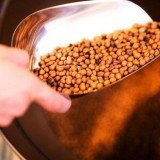 Bild anzeigen: Lupinenkaffeebohnen auf Schaufel