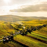 Bild anzeigen: Drohnenbild von Weingarten Landschaft