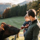 Bild anzeigen: Michael Krenn mit Kind streichelt Kuh