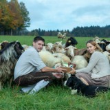 Bild anzeigen: Schafe auf der Wiese mit den Besitzern