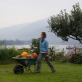 Bild anzeigen: Donaugarten