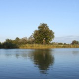 Bild anzeigen: Gut Dornau Fischteich