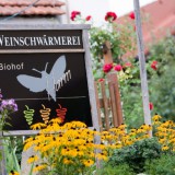 Bild anzeigen: Bio Weingut Harm Schild