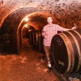 Bild anzeigen: weingut schwarzl weinkeller