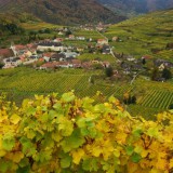 Bild anzeigen: Weinberghof Lagler Spitz vom Singerriedel