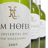 Bild anzeigen: Bio Weingut Hofer Flasche