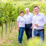 Bild anzeigen: Weingut Schober Weingarten