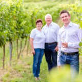 Bild anzeigen: Weingut Schober Weingarten