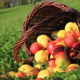 Bild anzeigen: Farmwild Laglehen Obst in geflochtenen Korb