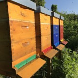 Bild anzeigen: Bio-o-logisch Bienenstöcke