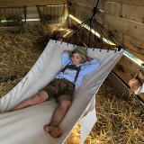 Bild anzeigen: Junge in Hängematte im Stall