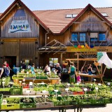 Bild anzeigen: ADAMAH Biohof Pflanzenmarkt