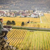 Bild anzeigen: Weingut Gattinger Weingarten