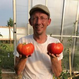 Bild anzeigen: Peters Land Gro&szlig;e Paradeiser