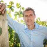 Bild anzeigen: Weingut Bauer Hermann Bauer