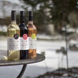 Bild anzeigen: BioWeingut Bernhard Plos Wein