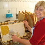 Bild anzeigen: Bio Imkerei Kirschner Fr. Kirschner beim Honig ernten