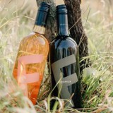 Bild anzeigen: Weingut Frühwirth Wein