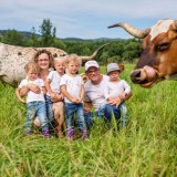 Bild anzeigen: Texas Longhorn Familie Hamersky