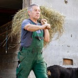 Bild anzeigen: Kirschleitenhof Herbert Gaupmann mit Heu