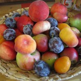 Bild anzeigen: Obstkorb mit verschiedenen, saisonalen Früchten