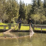 Bild anzeigen: Heinz Heinisch Fischteich