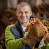 Bild anzeigen: Eierhof Burger Huhn