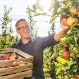 Bild anzeigen: Obstbau Filipp: Martin Filipp