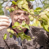 Bild anzeigen: Weinhof Aufreiter: Harald Aufreiter und Marillenbaum