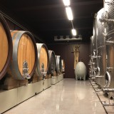 Bild anzeigen: Weingut Markus Huber Fasskeller