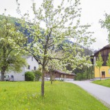 Bild anzeigen: Adelsberger Hof