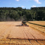 Bild anzeigen: Bierkanter erste Braugerste