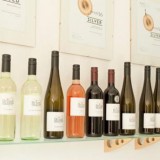 Bild anzeigen: Weingut Brindlmayer Flaschenreihe