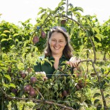 Bild anzeigen: Obstbau Kollmann Petra 