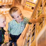 Bild anzeigen: Rosenfellner Mühle Kinder im Mühlladen
