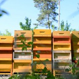 Bild anzeigen: Biezen Imkerei Bienenstöcke