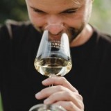 Bild anzeigen: Weingut Waberer /Alexander Waberer