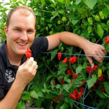 Bild anzeigen: Richard Fohringer hält die schärfste Chili der Welt in der Hand.