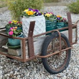 Bild anzeigen: Gefl&uuml;gelhof Scheibenreif Blumenwagen